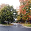 Main Street Unionville Laneway