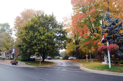 Main Street Unionville Laneway