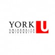 York University Logo Career Centre